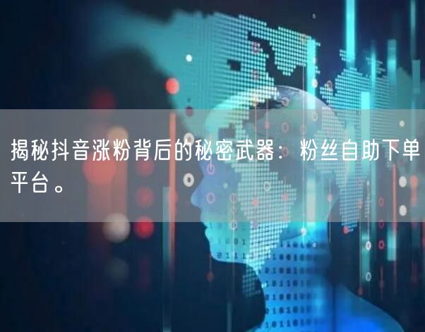 揭秘抖音涨粉背后的秘密武器：粉丝自助下单平台。