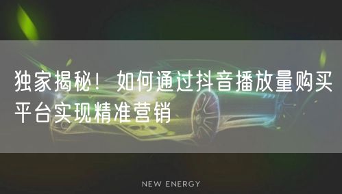 独家揭秘！如何通过抖音播放量购买平台实现精准营销