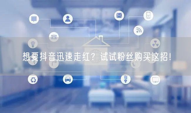 想要抖音迅速走红？试试粉丝购买这招！