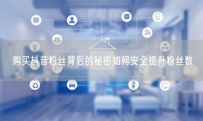 购买抖音粉丝背后的秘密如何安全提升粉丝数