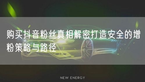 购买抖音粉丝真相解密打造安全的增粉策略与路径