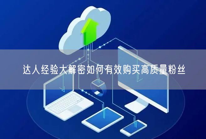 达人经验大解密如何有效购买高质量粉丝