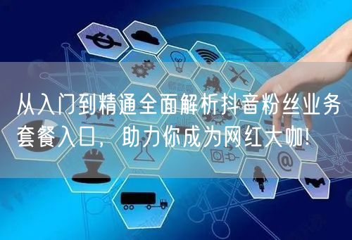 从入门到精通全面解析抖音粉丝业务套餐入口，助力你成为网红大咖!